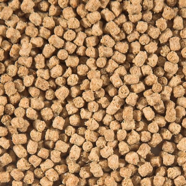 Sanikoi Winter Wheat Germ 3 mm - 1800 gram