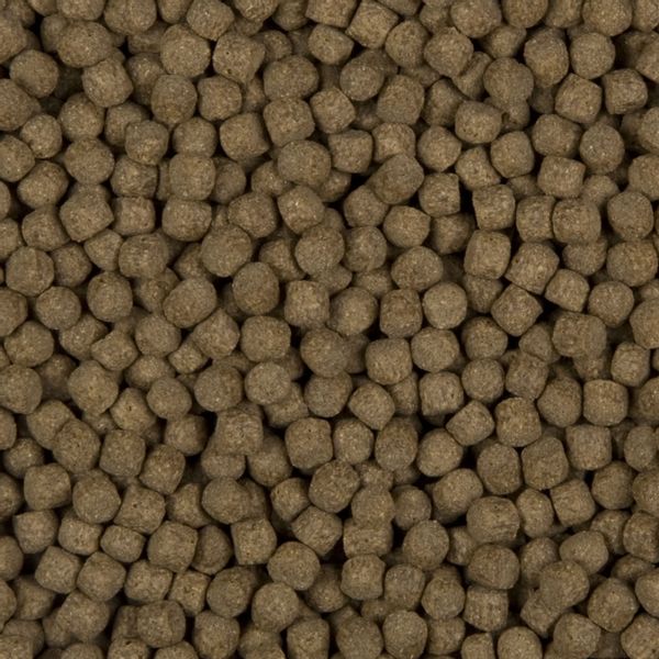 Sanikoi Staple Prime Food 6 mm - 7600 gram