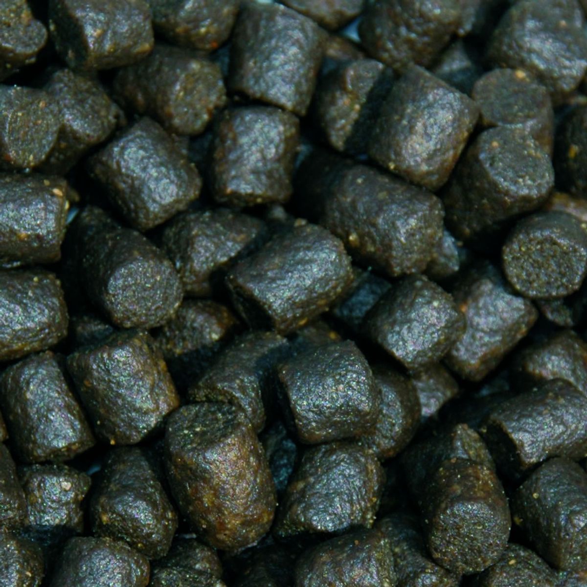 Sanikoi Sturgeon Pro Green 6mm - 2100 gram