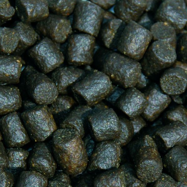 Sanikoi Sturgeon Pro Green 6mm - 2100 gram