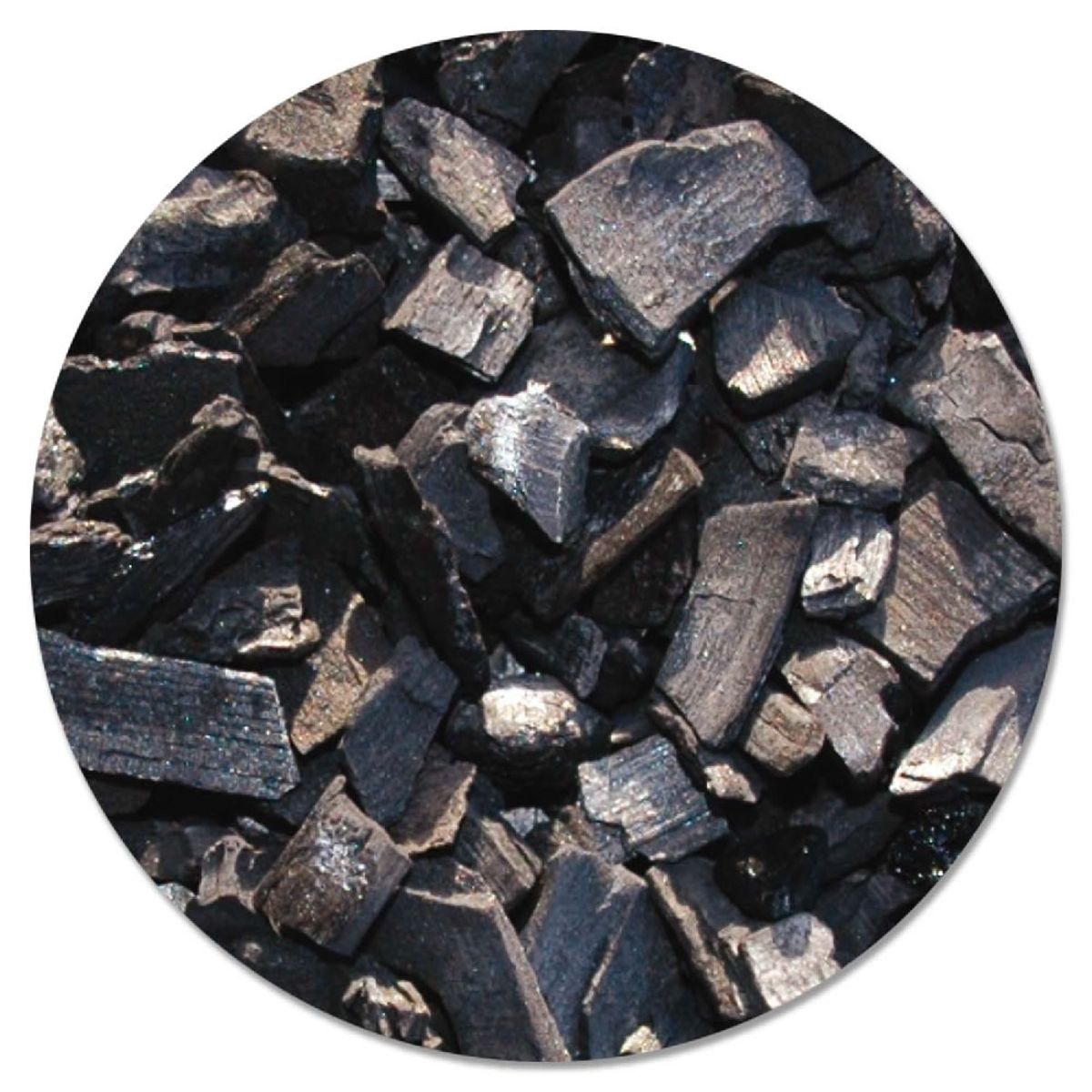 Velda Actieve Filterkool - 5L