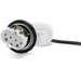 Trafo Universeel 55 Watt (voor UV-C filter) aansluiting