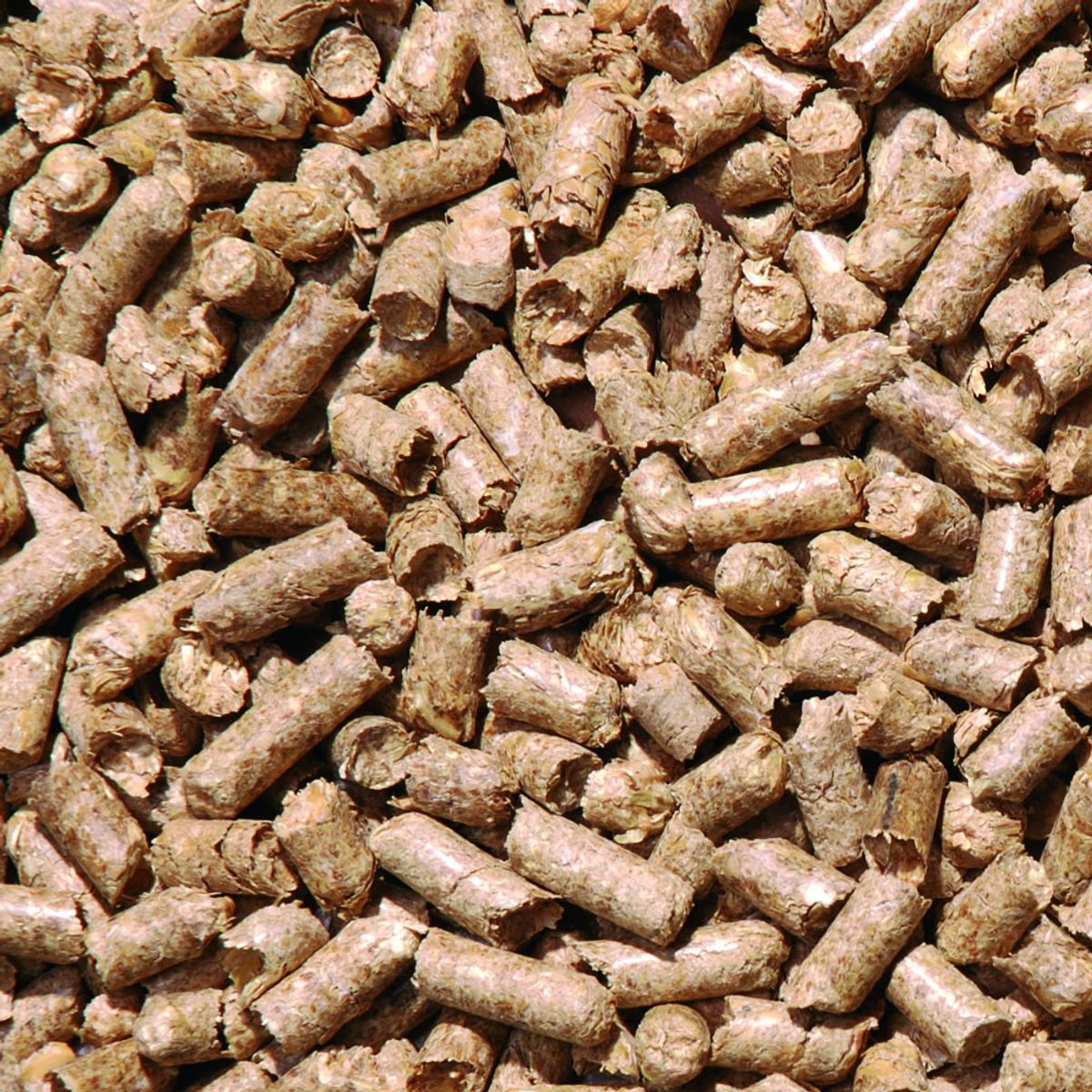 Vincia ToruStroh algenbestrijder 4000 ml