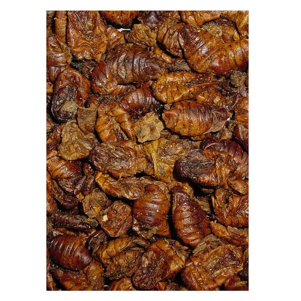 Velda natuurlijk koivoer - zijderupsen 1375 gram