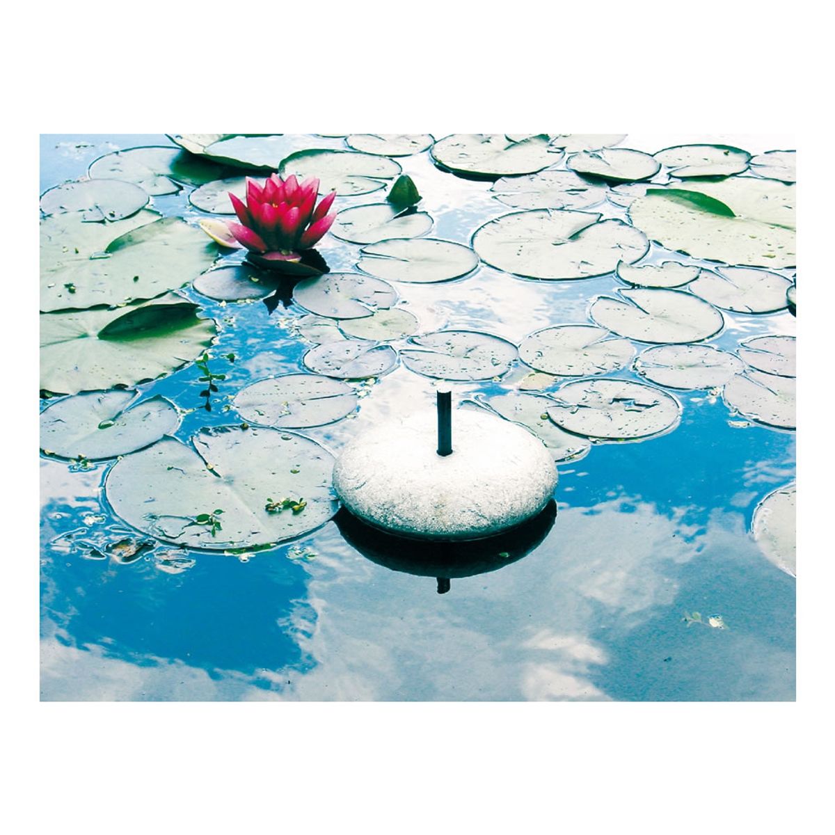 Velda VT IJsvrijhouder