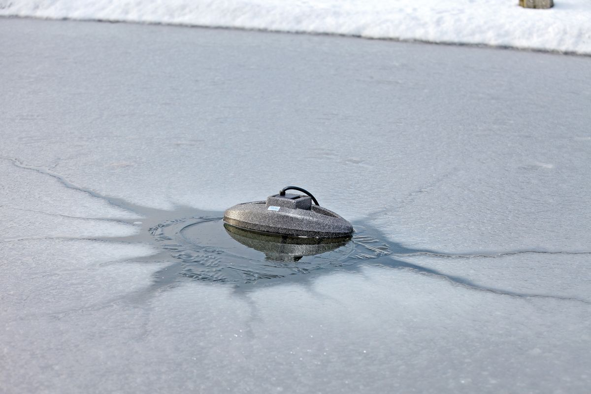 Oase IceFree Thermo 330 vijververwarmer in vijver