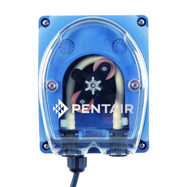 Pentair doseerpomp voor intellipool zwembad