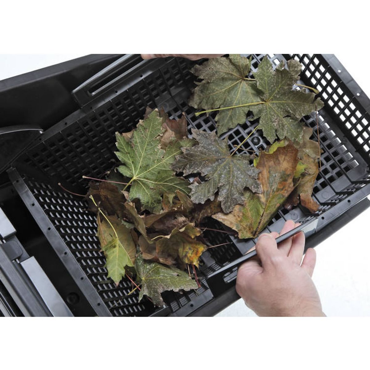 Oase Biosys Skimmer + 