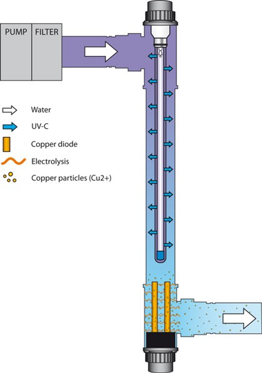 Blue lagoon UV-C Ionizer 75 watt