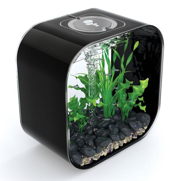 biOrb Life 30 MCR - zwart