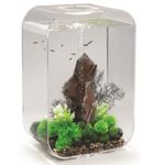 biOrb Life 60 MCR - transparant