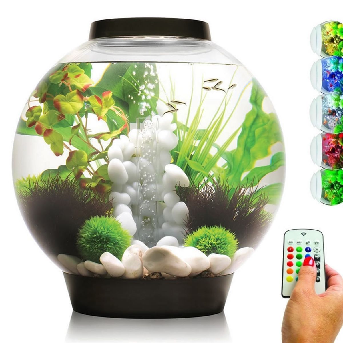 biOrb Classic 30 MCR - zwart