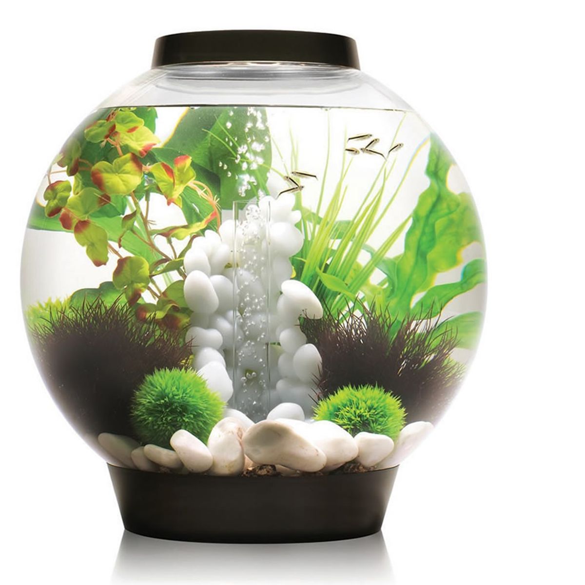 biOrb Classic 30 MCR - zwart