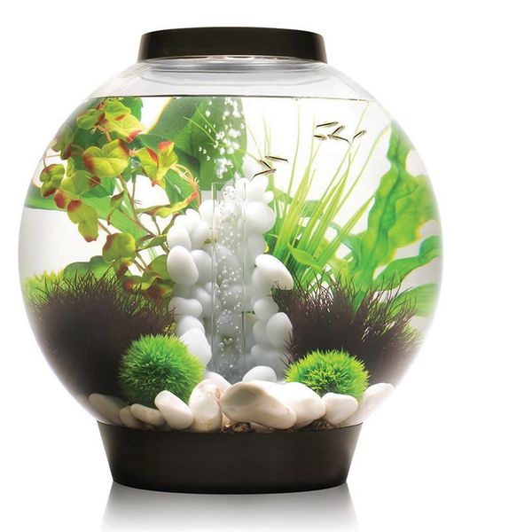 biOrb Classic 30 MCR - zwart