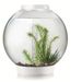 biOrb Classic 30 MCR - wit