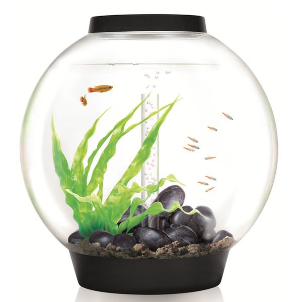 biOrb Classic 60 LED - zwart