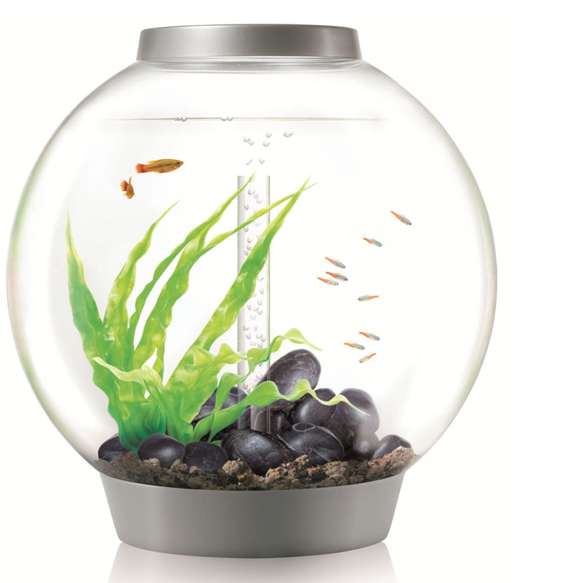 biOrb Classic 60 LED - zilver