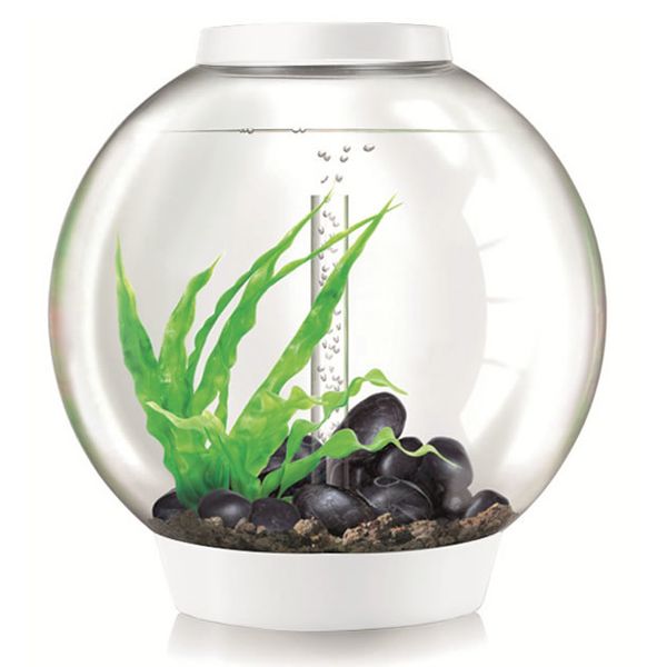 biOrb Classic 60 LED - wit