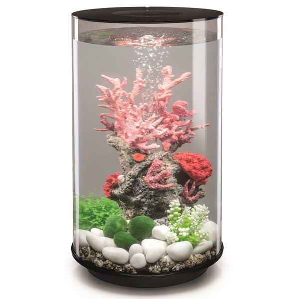 biOrb Tube 30 MCR - zwart