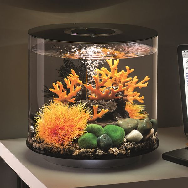 biOrb Tube 35 MCR - zwart