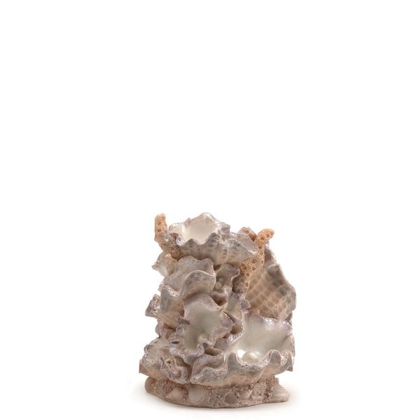 biOrb mossel ornament - klein 