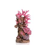 biOrb koraalrif ornament - middel roze