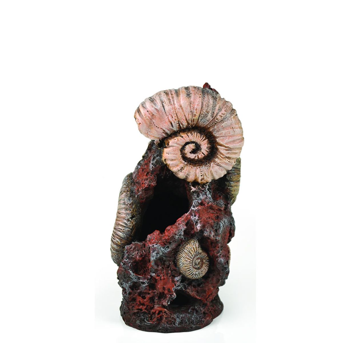 biOrb oude schelp ornament - middel