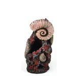 biOrb oude schelp ornament - middel