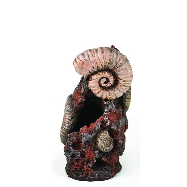 biOrb oude schelp ornament - middel