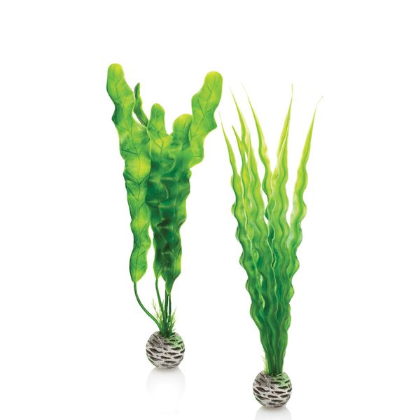 biOrb plantenset groen - middel