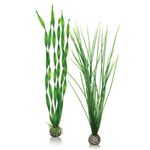 biOrb plantenset groen - groot 