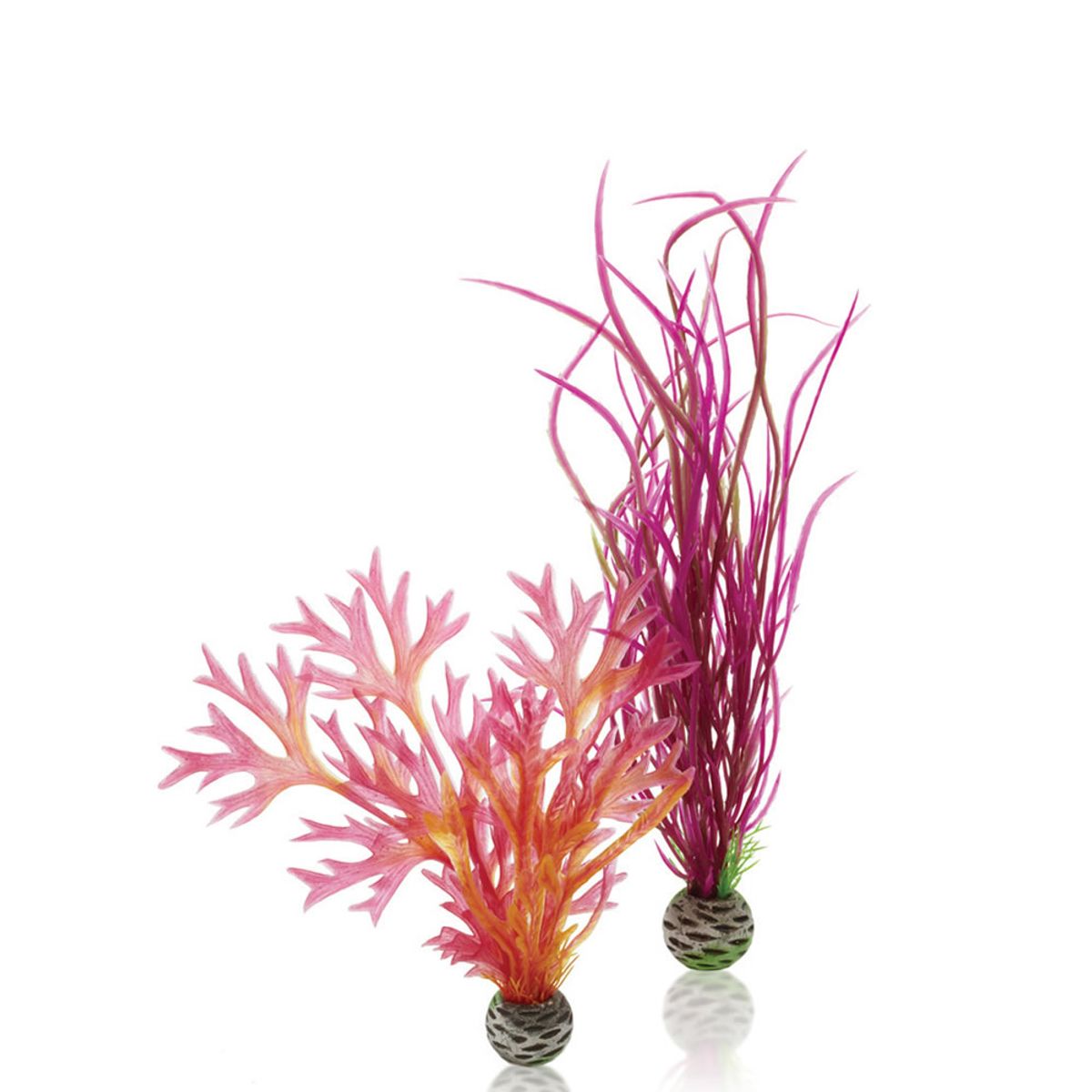 biOrb plantenset rood & roze - middel