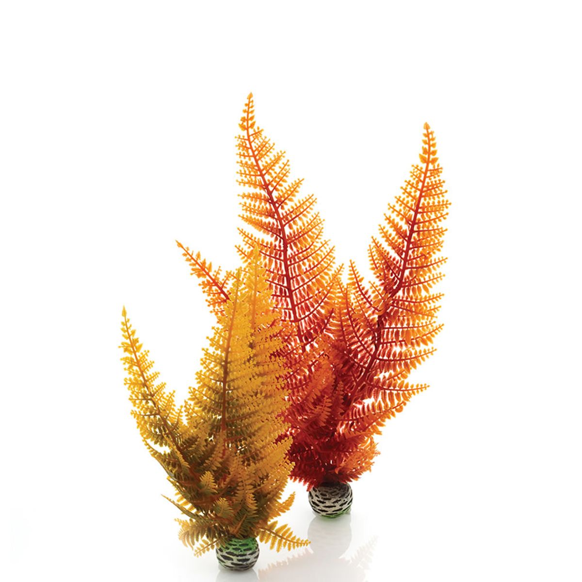 biOrb herfstvaren - middel