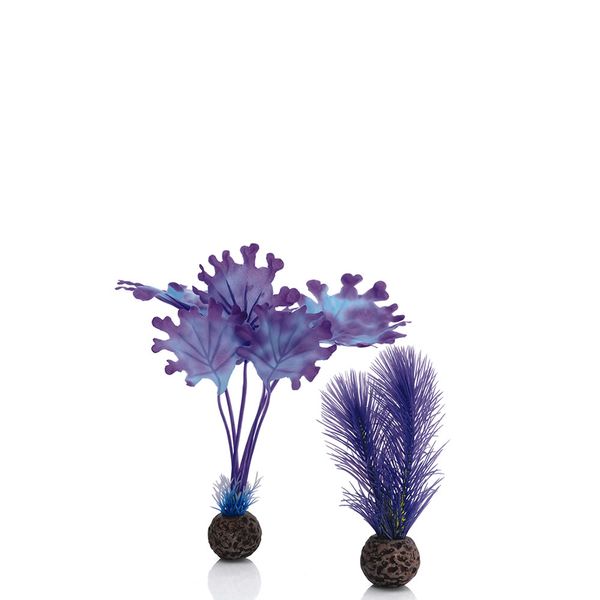 biOrb zeewier set paars - klein