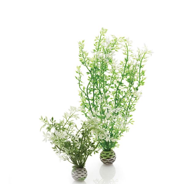 biOrb winterbloem - middel