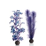 biOrb zeewier set paars - middel