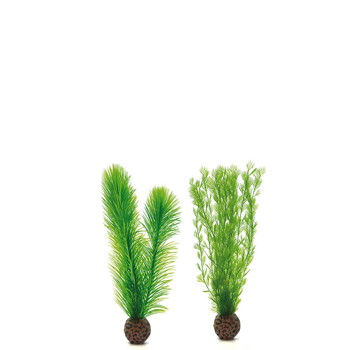 biOrb mannetjesvaren set groen - klein