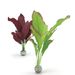 biOrb zijden plantenset groen/paars- middel