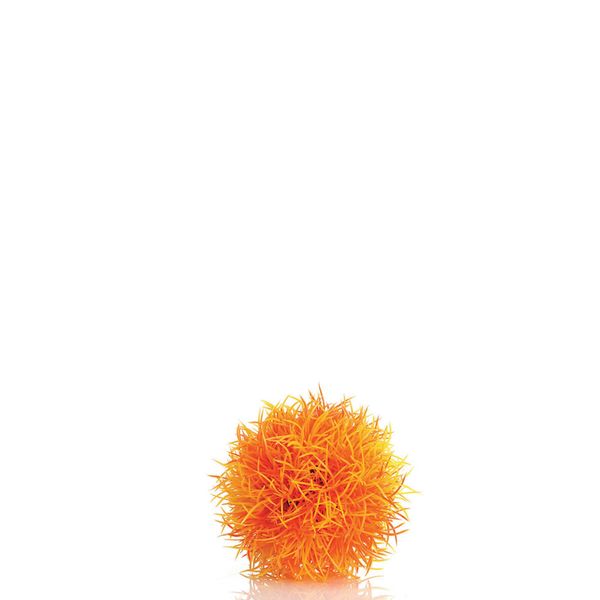 biOrb decobal oranje