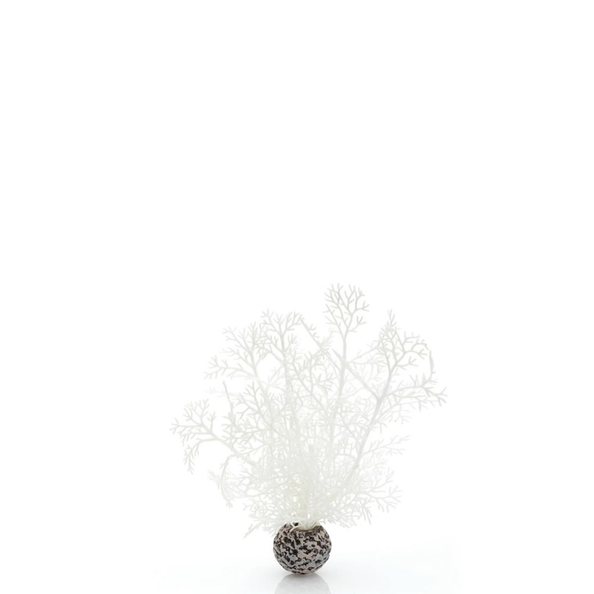 biOrb hoornkoraal wit - klein