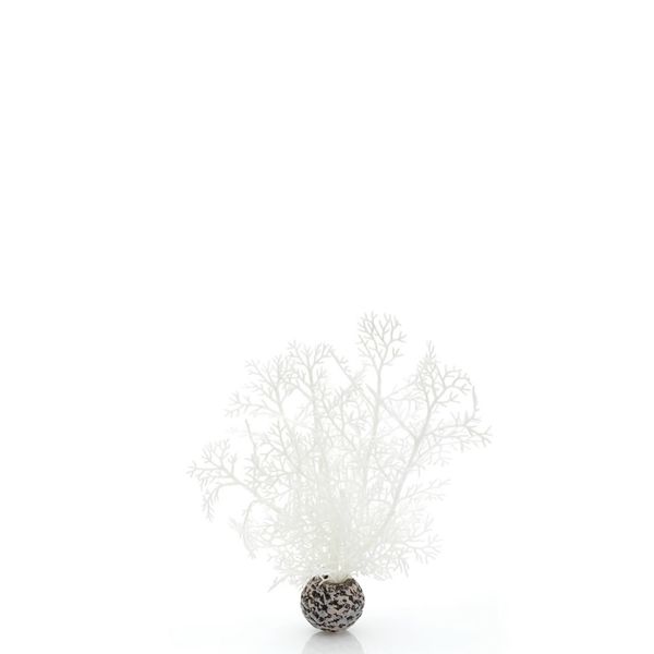 biOrb hoornkoraal wit - klein