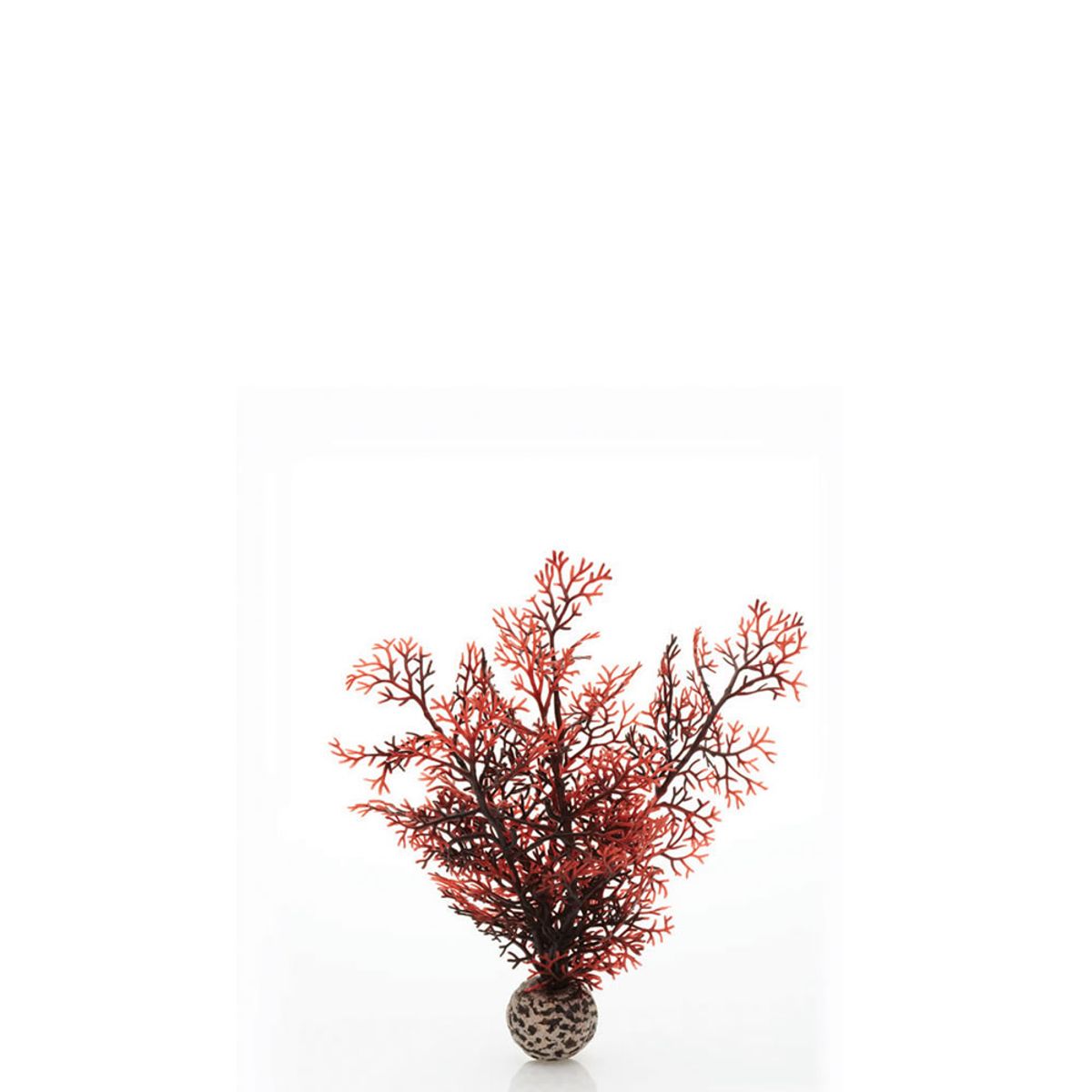 biOrb hoornkoraal donkerrood - klein