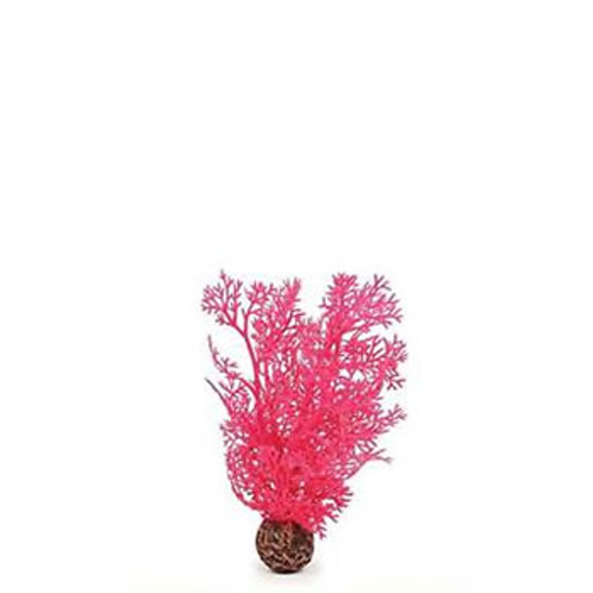 biOrb hoornkoraal roze - klein