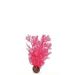 biOrb hoornkoraal roze - klein