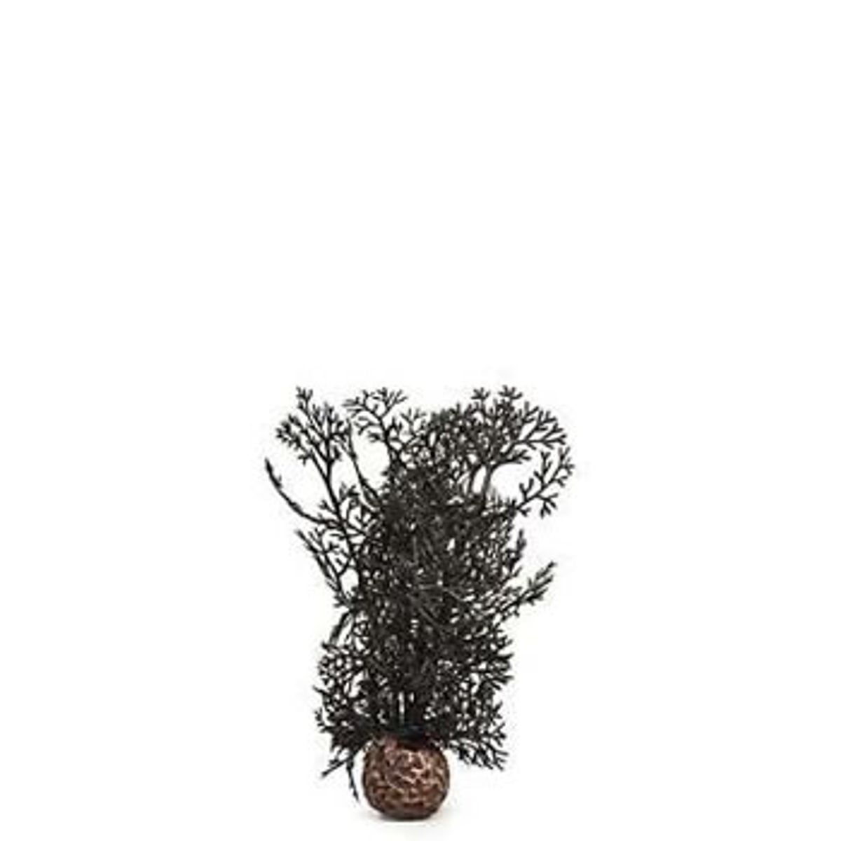 biOrb hoornkoraal zwart - klein