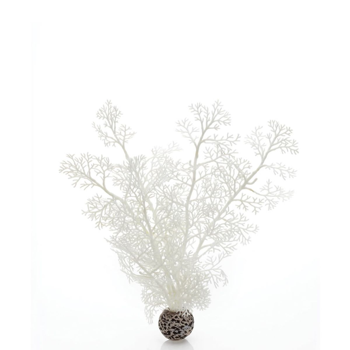 biOrb hoornkoraal wit - middel