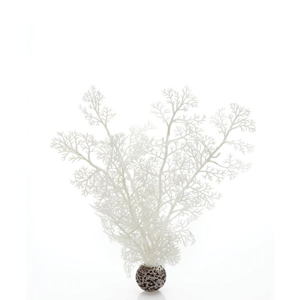 biOrb hoornkoraal wit - middel