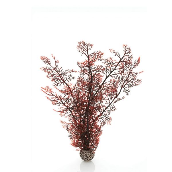 biOrb hoornkoraal donkerrood - middel