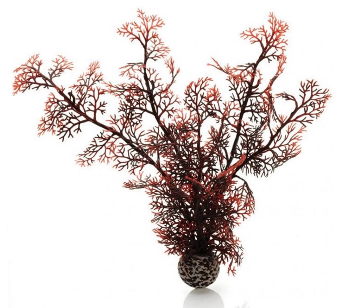 biOrb hoornkoraal donkerrood - groot