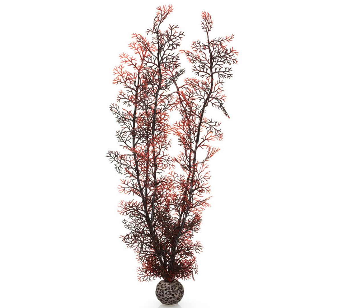 biOrb hoornkoraal donkerrood - extra groot